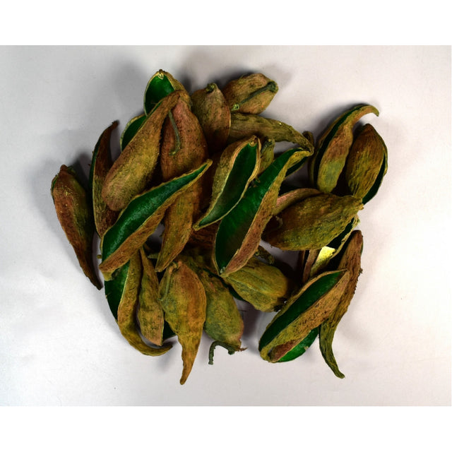 Tutun salbatic verde inchis