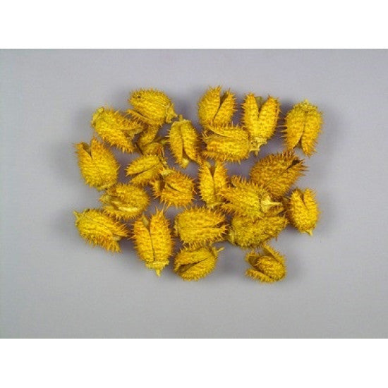 Belendek inalbit galben