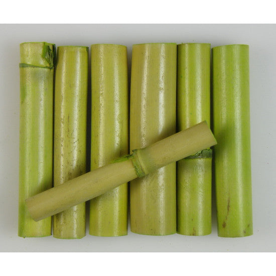 Cozi de floarea soarelui verde deschis