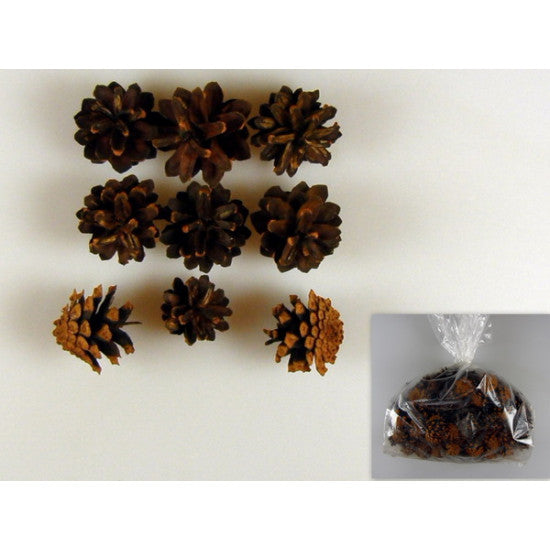 Conuri trandafiri 1kg portocaliu