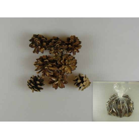 Conuri de pin 1kg crem