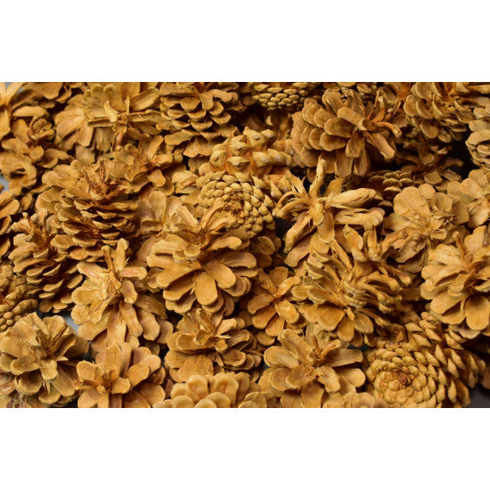 Conuri de pin 1kg crem
