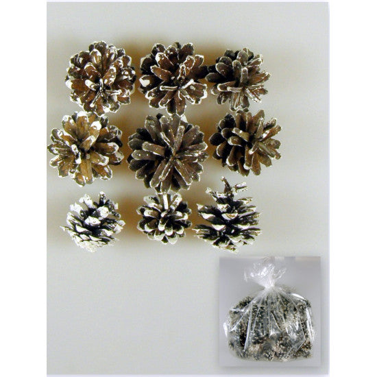 Conuri de pin 1kg inzapezite