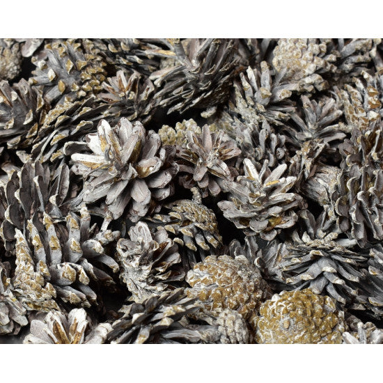 Conuri de pin cu chiciura 1kg