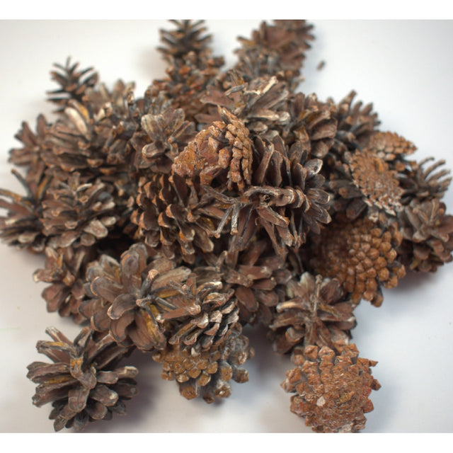 Conuri trandafir 1kg portocaliu cu chiciura