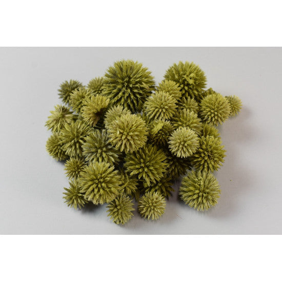 Cap Echynops vopsit verde oliv