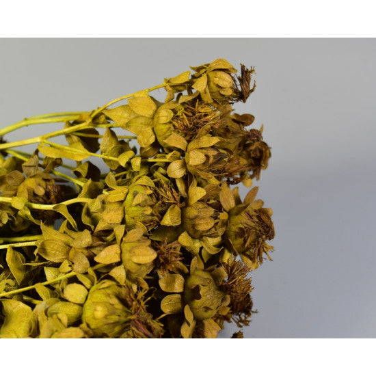 Sofran 150gr verde deschis