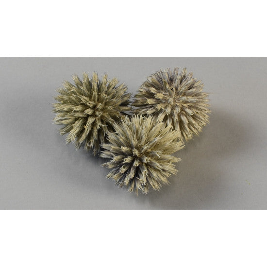 Cap Echynops vopsit verde pal