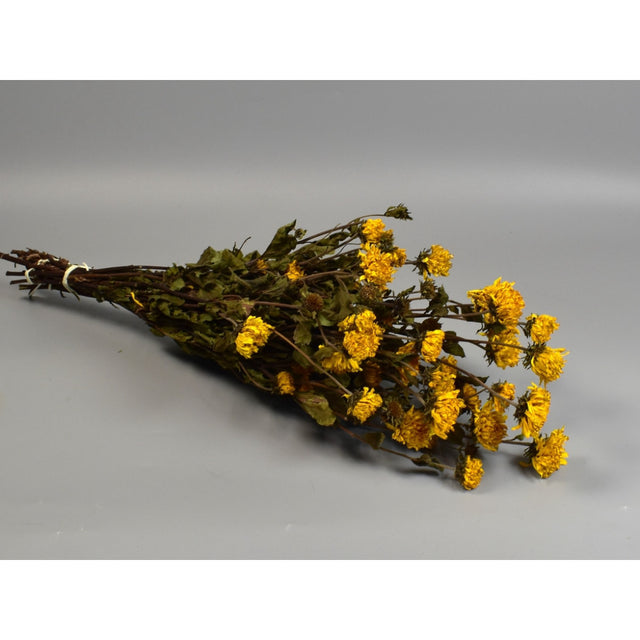 imagine produs Floarea -soarelui