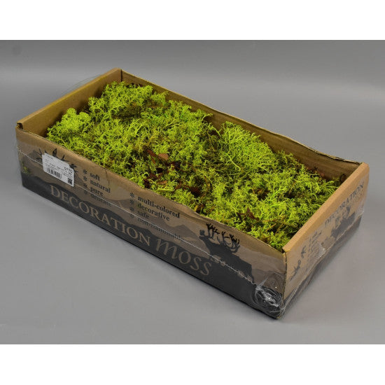 Muschi islanda mix verde deschis