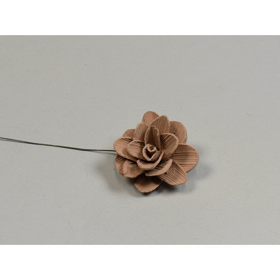 Flori acacia 6cm vopsit cappuccino