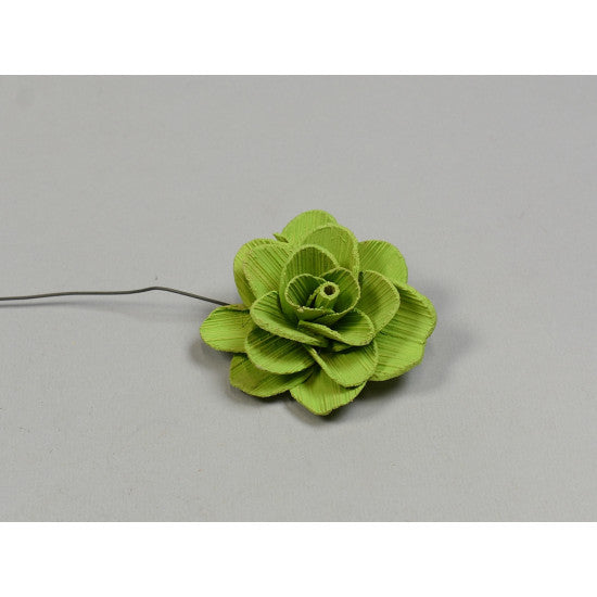 Flori acacia 6cm vopsit verde deschis
