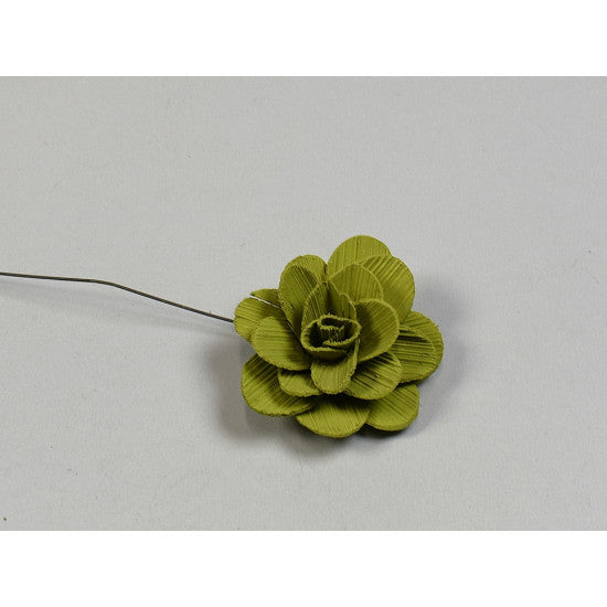 Flori acacia 6cm vopsit oliv