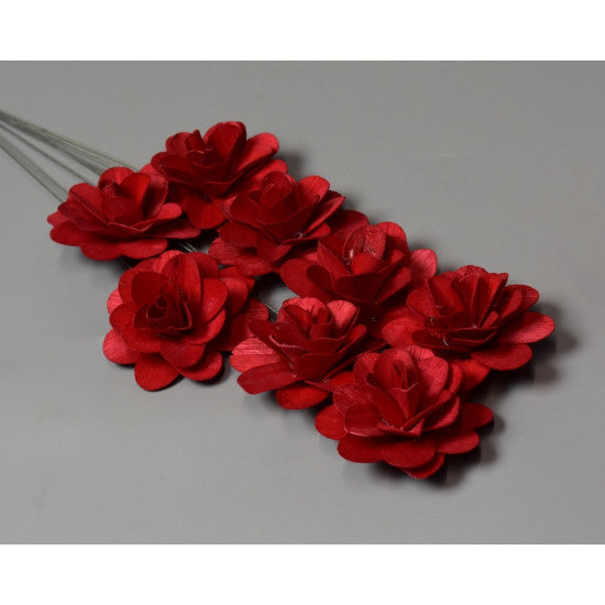Flori acacia 6cm rosu