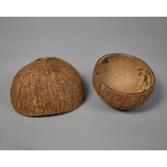 Coaja nuca de cocos natur