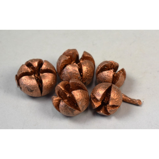 Roade lalea bronz
