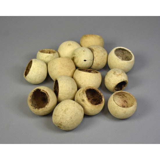 Bell cup 4-5cm natur