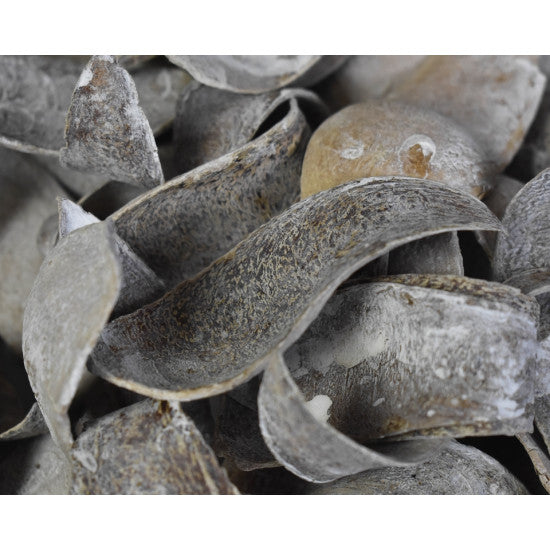 Cap cobra cu chiciura,0,19kg/pachet