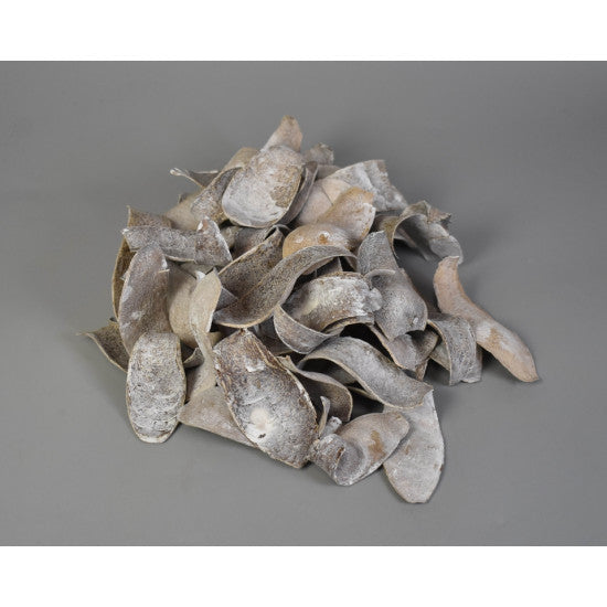 Cap cobra cu chiciura,0,19kg/pachet