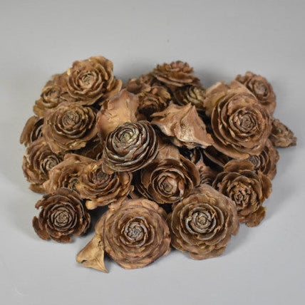 Cap trandafiri cedru 3-5cm natur