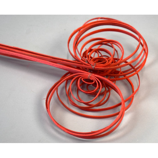 Fire cane indoite inalbit rosu