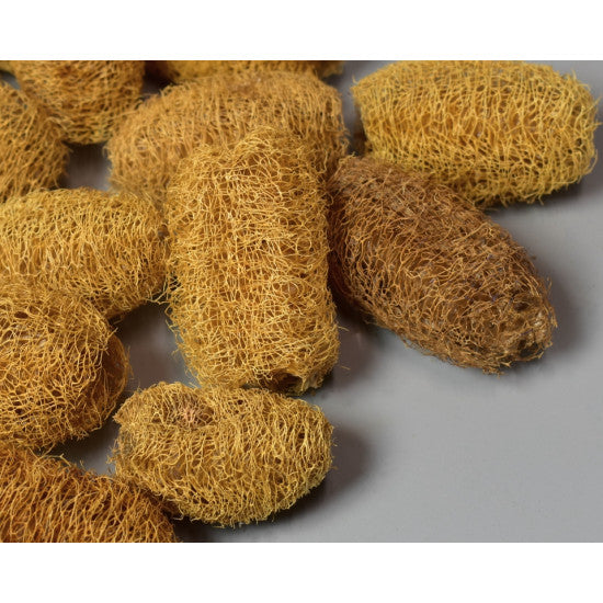 Lufa mini mini natur
