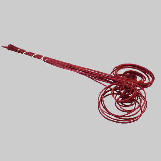 Fire cane indoite bordeaux