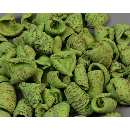 Lali vopsit verde deschis