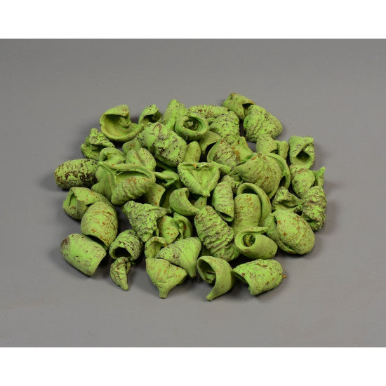 Lali vopsit verde deschis