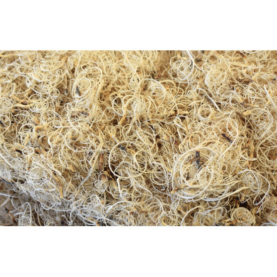 Curly moos inalbit 1kg