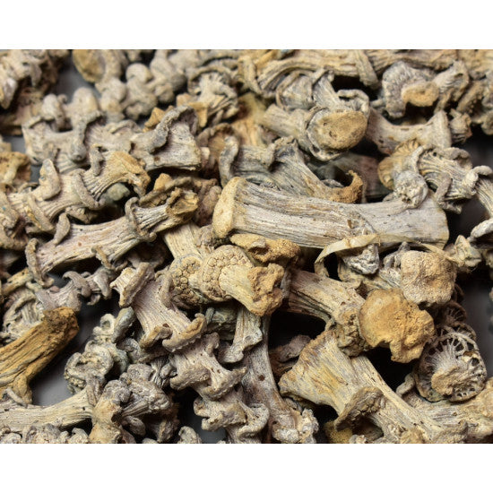 Tulpine banane 5cm cu chiciura