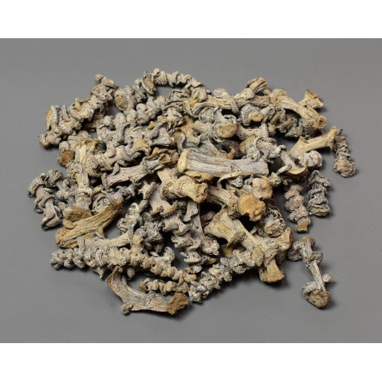 Tulpine banane 5cm cu chiciura