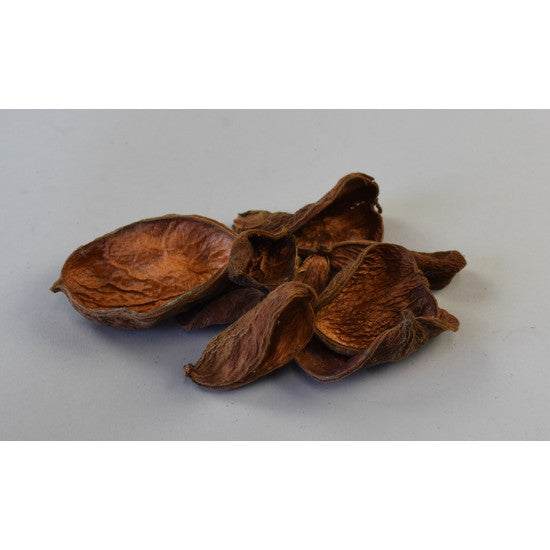 Petale landlotus