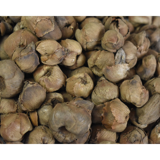 Cocos mini natur