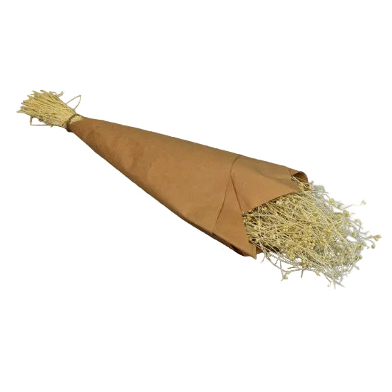 Choriandru Dhania 50gr in hartie inalbit