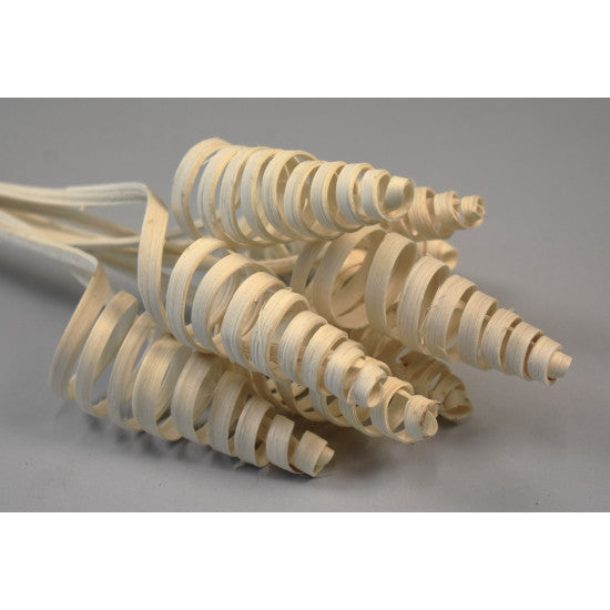 Cane Cone inalbit