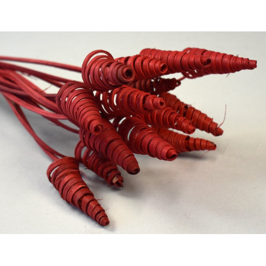 Cane Cone mini rosu