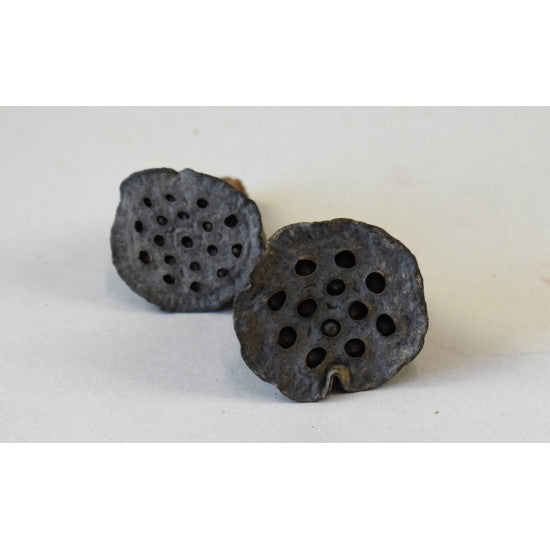 Lotus mini mini natur