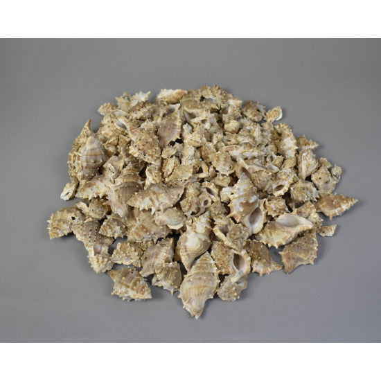 Scoici Penchiman-Tuskes sisakcsiga 1kg natur