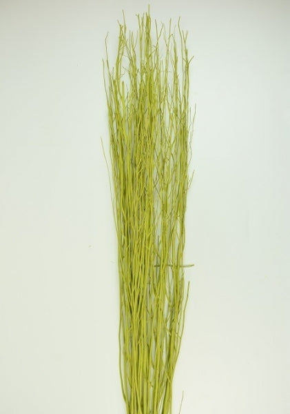 imagine produs Creanga salcie vopsit