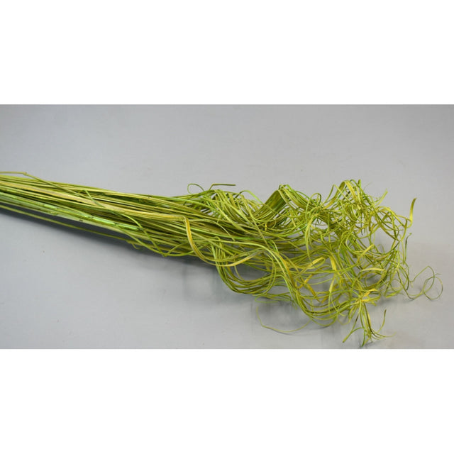 imagine produs Curly Ting Ting inalbit verde deschis