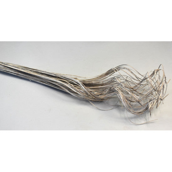 Curly Ting Ting cu chiciura