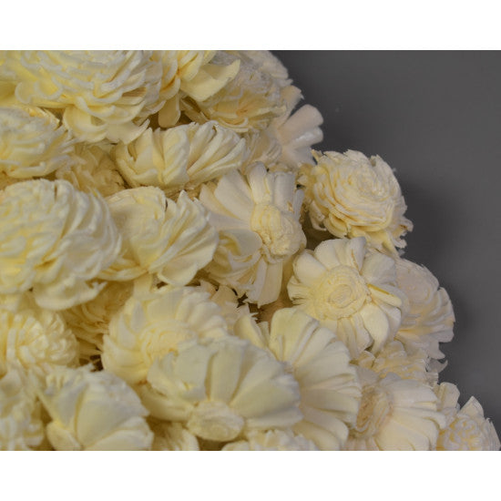 Cap anemone ming 4cm preparat inalbit S/150