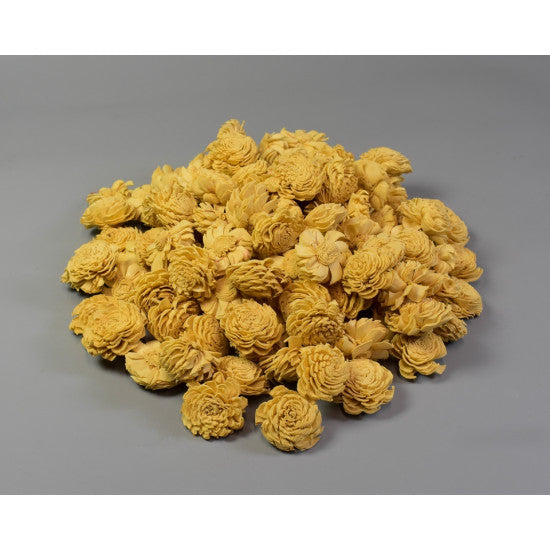 Cap anemone ming 4 cm preparat nisipiu (set 150 buc.)