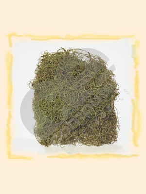 imagine produs Curly moos verde deschis