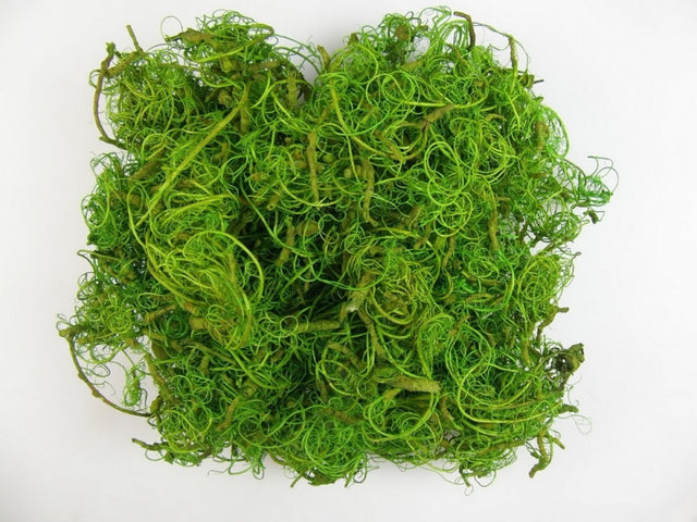 imagine produs Curly moos inalbit verde deschis