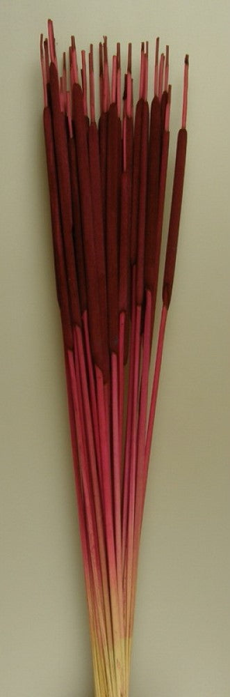 imagine produs Typha India bordeaux