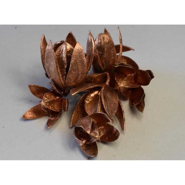 Wild Lily bronz
