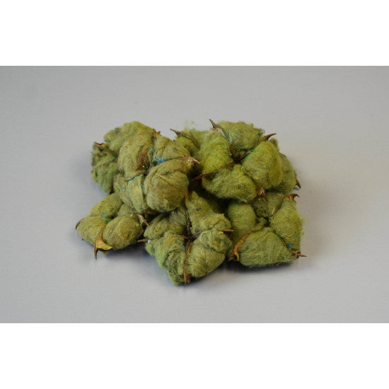 Flori de bumbac spacial verde deschis