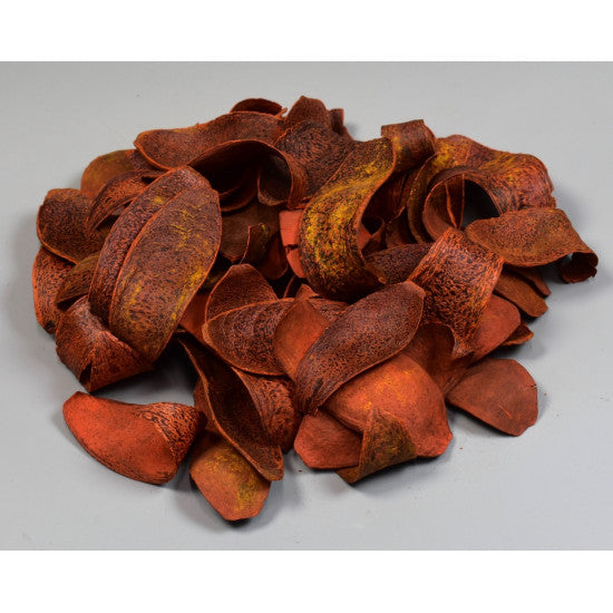 Cap cobra portocaliu,0,22kg/pachet